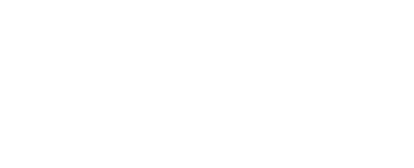 TopFero logo